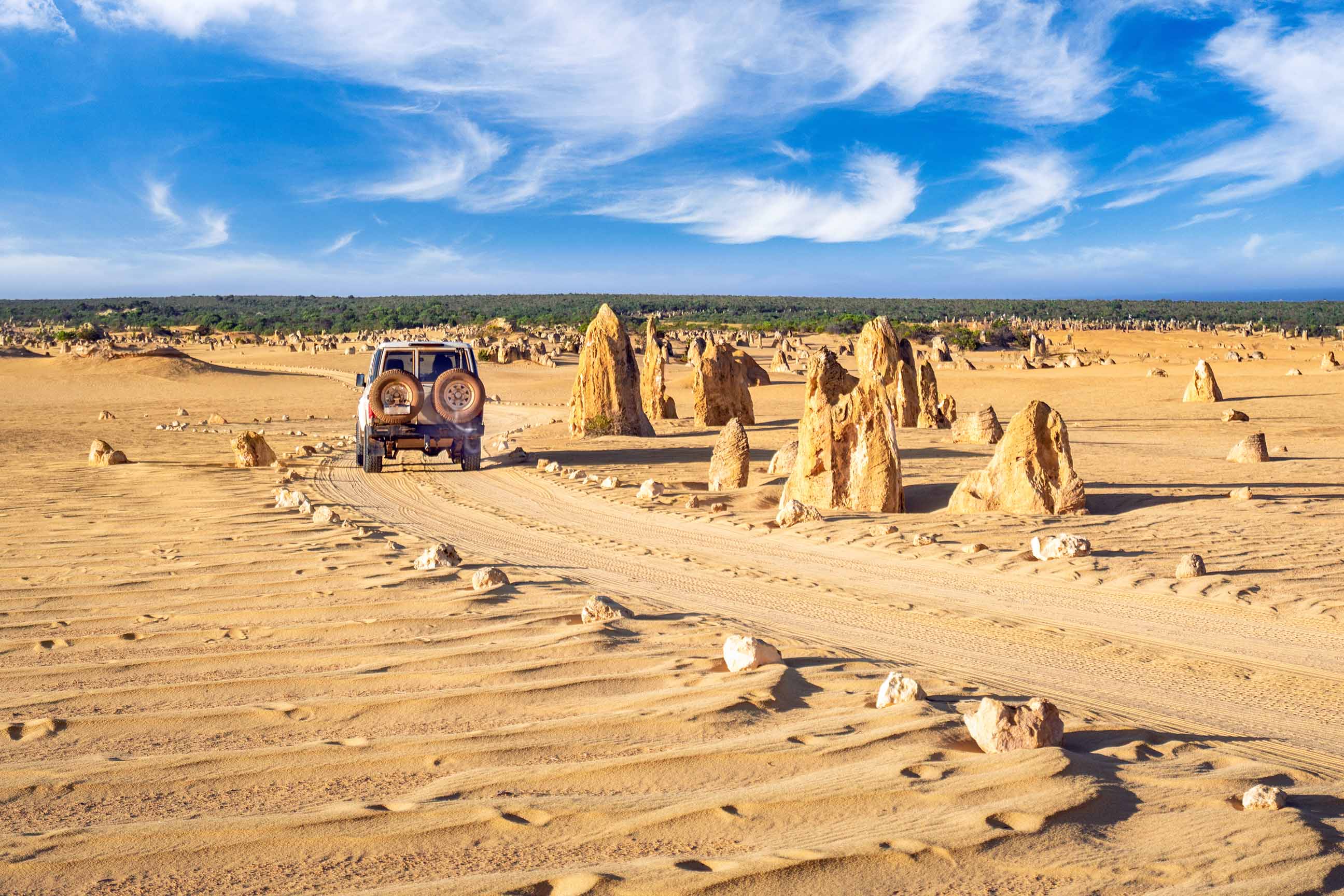 Top 10 Must-Have Accessories for Your 4WD Adventures